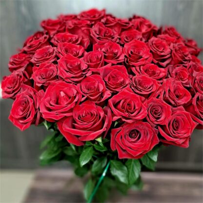 Red Roses