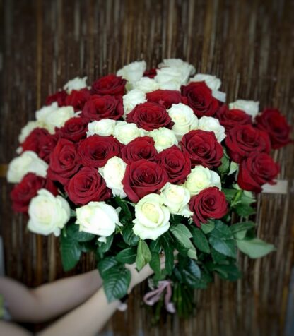 Tall red and white Roses