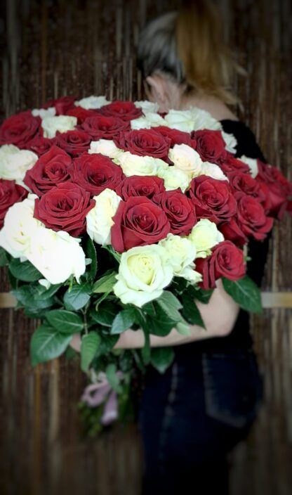 Tall red and white Roses - Image 3