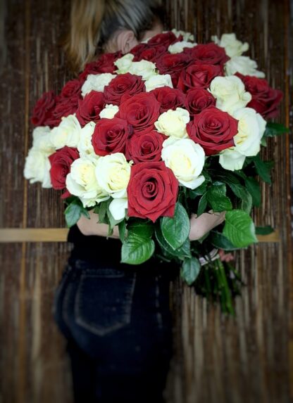 Tall red and white Roses - Image 5