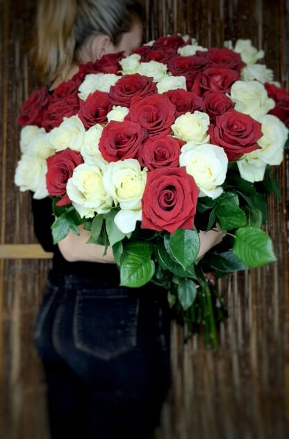 Tall red and white Roses - Image 2